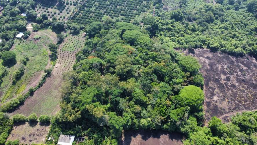 Terreno en Venta en Zapotitlán, Ciudad Arce