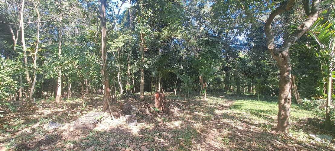 Terreno en Venta en Zapotitlán, Ciudad Arce