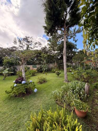 SE VENDE CASA CON FINCA ACTIVA DE CAFÉ |  ATACO, EL SALVADOR - Imagen 8