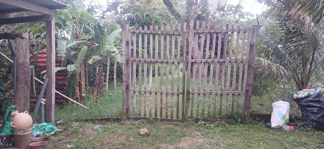 VENTA FINCA CAFÉ Y BALSAMO SAN JULIAN SONSONATE - Imagen 17