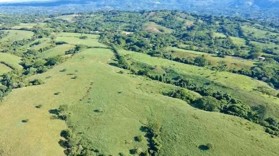 Terreno de 85MZ en Mercedes Umaña, Santa Anita, a 5min de la carretera panamericana, a 15mil cada MZ - Imagen 7