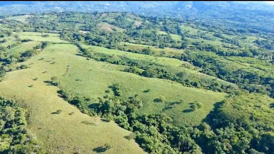 Terreno de 85MZ en Mercedes Umaña, Santa Anita, a 5min de la carretera panamericana, a 15mil cada MZ - Imagen 3