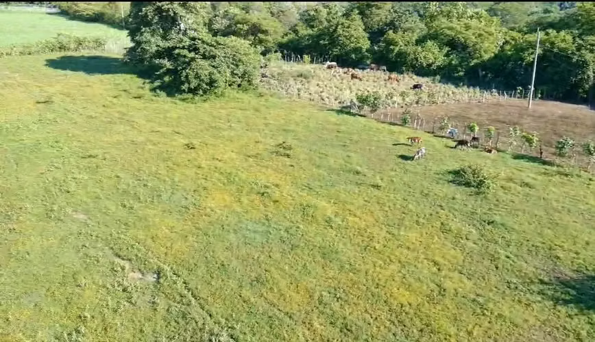 Terreno de 85MZ en Mercedes Umaña, Santa Anita, a 5min de la carretera panamericana, a 15mil cada MZ - Imagen 2