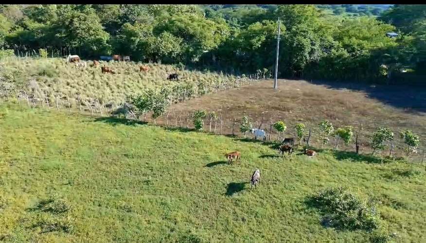 Terreno de 85MZ en Mercedes Umaña, Santa Anita, a 5min de la carretera panamericana, a 15mil cada MZ - Imagen 5