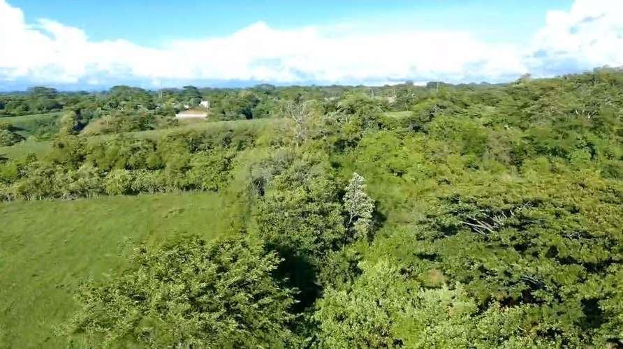 Terreno de 85MZ en Mercedes Umaña, Santa Anita, a 5min de la carretera panamericana, a 15mil cada MZ - Imagen 4
