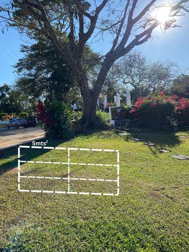 VENDO LOTE DE 6 NICHOS EN JARDÍN LAS FLORES SANTA ANA   OPORTUNIDAD DE PREVISIÓN FAMILIAR -  Vendo propiedad memoria - Imagen 8