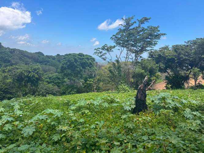 Terreno en venta Comasagua