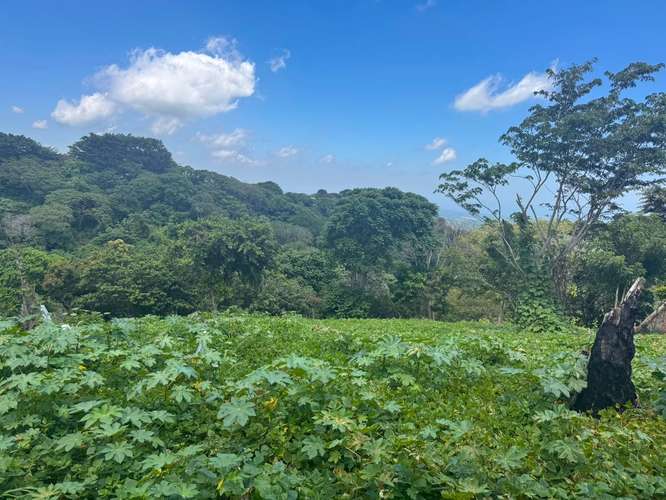 Terreno en venta Comasagua