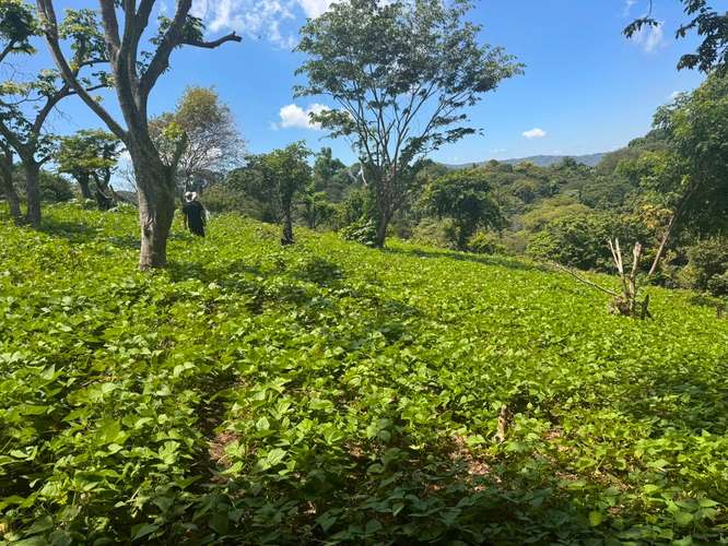 Terreno en venta Comasagua