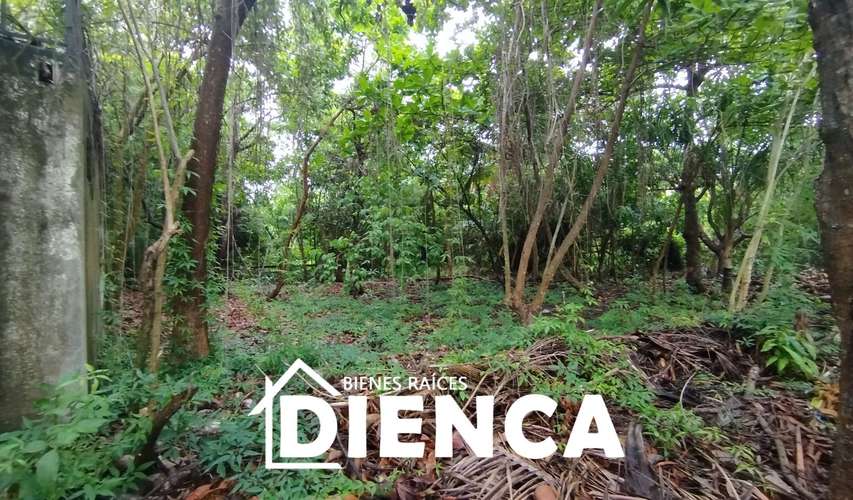 TERRENO EN LAS VERANERAS, COMPLEJO DE PLAYA PRIVADO, ACAJUTLA, PUNTA REMEDIOS, LOS COBANOS, CERCA SALINITAS Y DECAMERON - Imagen 7