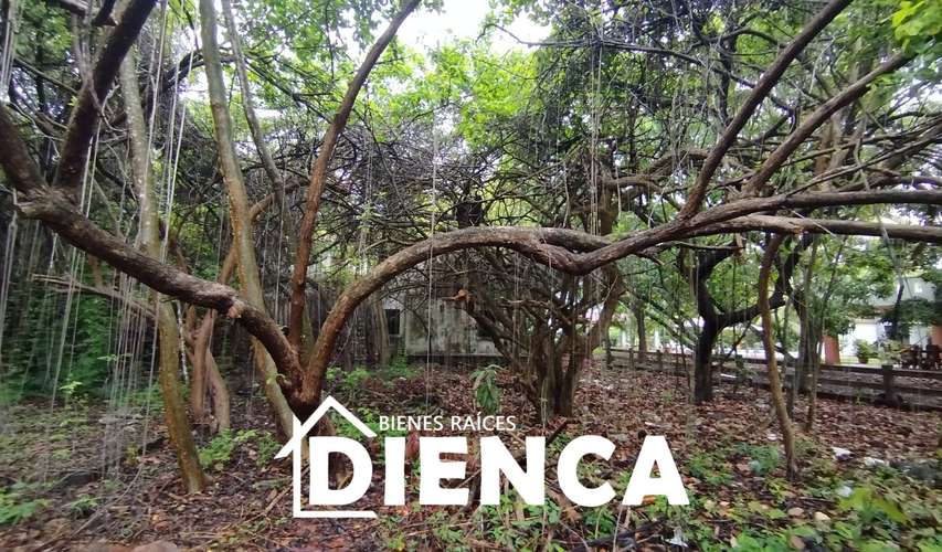 TERRENO EN LAS VERANERAS, COMPLEJO DE PLAYA PRIVADO, ACAJUTLA, PUNTA REMEDIOS, LOS COBANOS, CERCA SALINITAS Y DECAMERON - Imagen 5