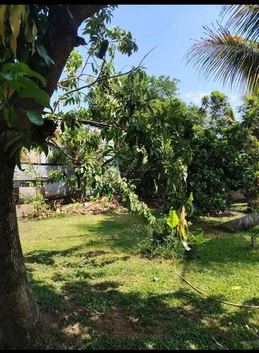 VENTA 2 LOTES JUNTOS LOT. SANTA ELENA SANTA ANA - Imagen 7