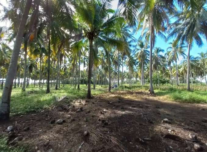 Espectacular terreno 33.43 Mz equivalentes a 234,080 m² en Metalío: frente a playas del Pacífico y la bocana, Sonsonate