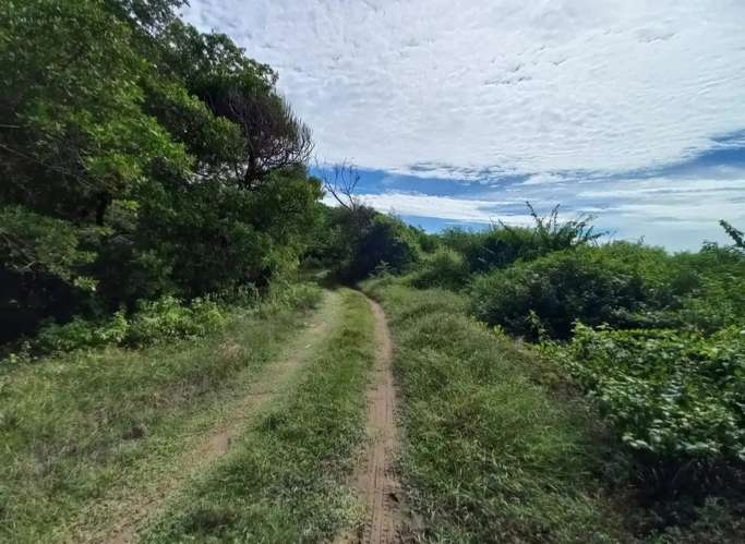 Espectacular terreno 33.43 Mz equivalentes a 234,080 m² en Metalío: frente a playas del Pacífico y la bocana, Sonsonate