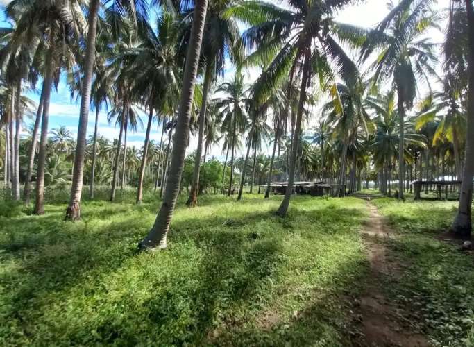 Espectacular terreno 33.43 Mz equivalentes a 234,080 m² en Metalío: frente a playas del Pacífico y la bocana, Sonsonate