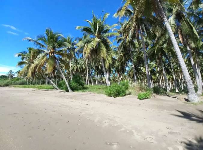 Espectacular terreno 33.43 Mz equivalentes a 234,080 m² en Metalío: frente a playas del Pacífico y la bocana, Sonsonate