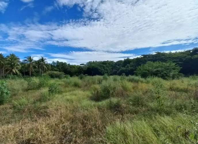 Espectacular terreno 33.43 Mz equivalentes a 234,080 m² en Metalío: frente a playas del Pacífico y la bocana, Sonsonate