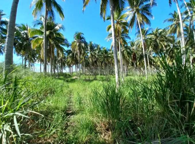 Espectacular terreno 33.43 Mz equivalentes a 234,080 m² en Metalío: frente a playas del Pacífico y la bocana, Sonsonate