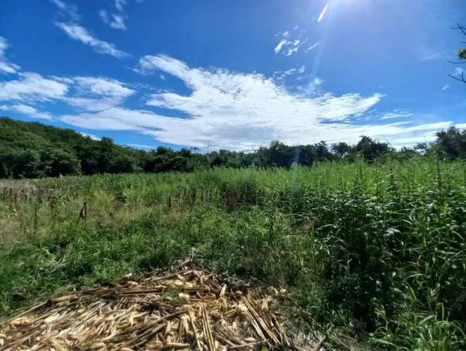 Espectacular terreno 33.43 Mz equivalentes a 234,080 m² en Metalío: frente a playas del Pacífico y la bocana, Sonsonate