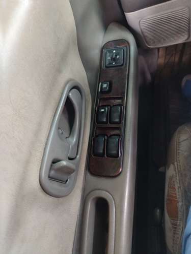 Se vende hermosa nativa 