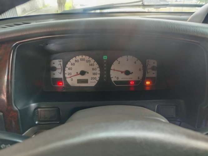 Se vende hermosa nativa 