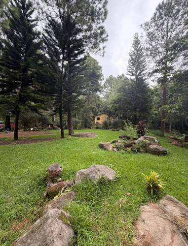 VENTA DE TERRENO EN SAN JOSÉ LA MAJADA APANECA, ruta las Flores   - Imagen 4
