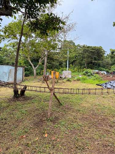 Se vende terreno en San Jose La Majada, en lo mas alto de las montañas.  - Imagen 2