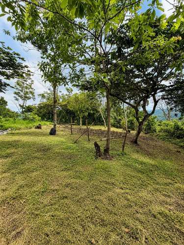 Se vende terreno en San Jose La Majada, en lo mas alto de las montañas.  - Imagen 6