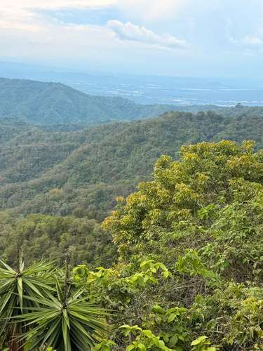 Se vende terreno en San Jose La Majada, en lo mas alto de las montañas.  - Imagen 4