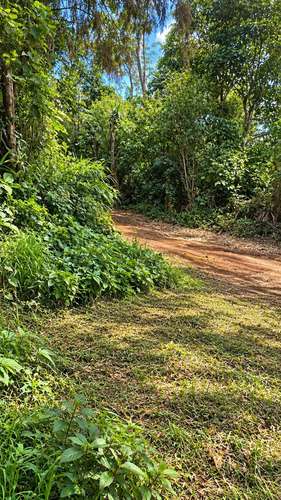 Se vende terreno en San Jose La Majada, en lo mas alto de las montañas.  - Imagen 3