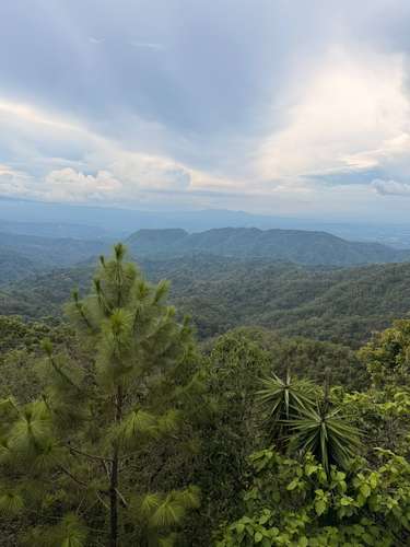 Se vende terreno en San Jose La Majada, en lo mas alto de las montañas.  - Imagen 5