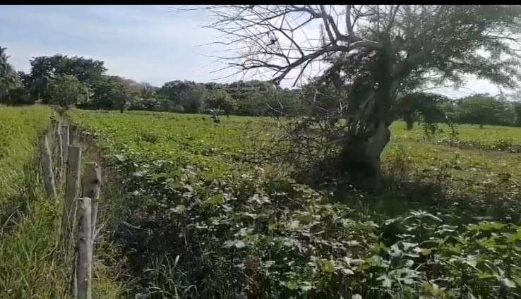 VENTA 7 MANZANAS Y MEDIA CONTIGUO LAS VERANERAS COBANOS SONSONATE - Imagen 13