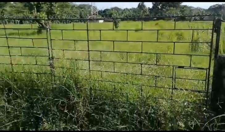VENTA 7 MANZANAS Y MEDIA CONTIGUO LAS VERANERAS COBANOS SONSONATE - Imagen 16