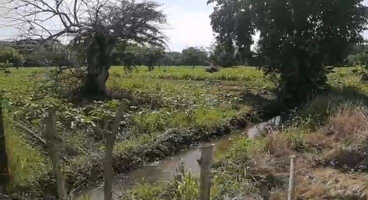 VENTA 7 MANZANAS Y MEDIA CONTIGUO LAS VERANERAS COBANOS SONSONATE - Imagen 9