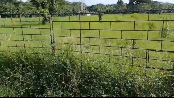 VENTA 7 MANZANAS Y MEDIA CONTIGUO LAS VERANERAS COBANOS SONSONATE - Imagen 11
