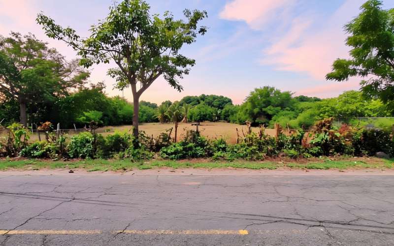 Terreno Productivo en venta | San Juan del Gozo, Jiquilisco, Usulután - Imagen 3