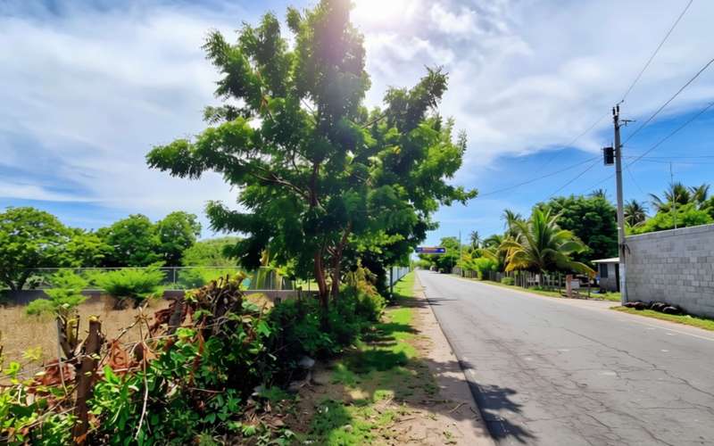 Terreno Productivo en venta | San Juan del Gozo, Jiquilisco, Usulután - Imagen 9