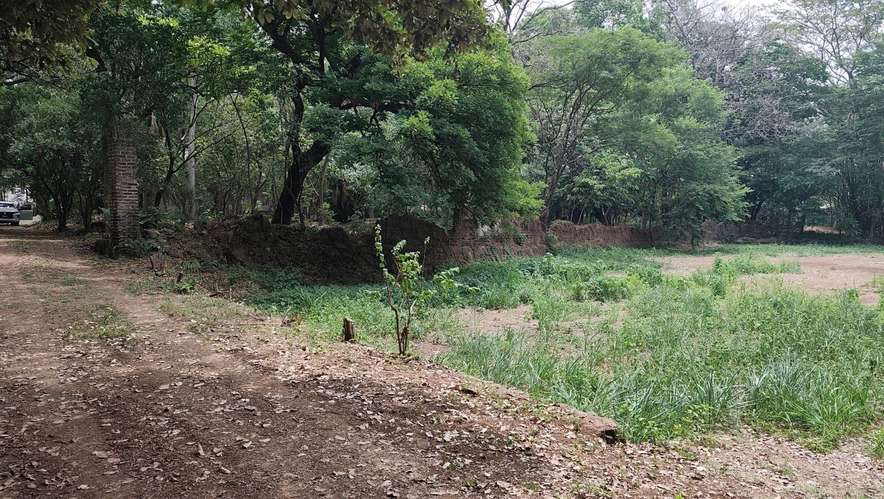  3 Mzas. A 5 cuadras del Centro de Zacatecoluca, de Bosque Urbano, Para Desarrollo Urbanistico. - Imagen 18