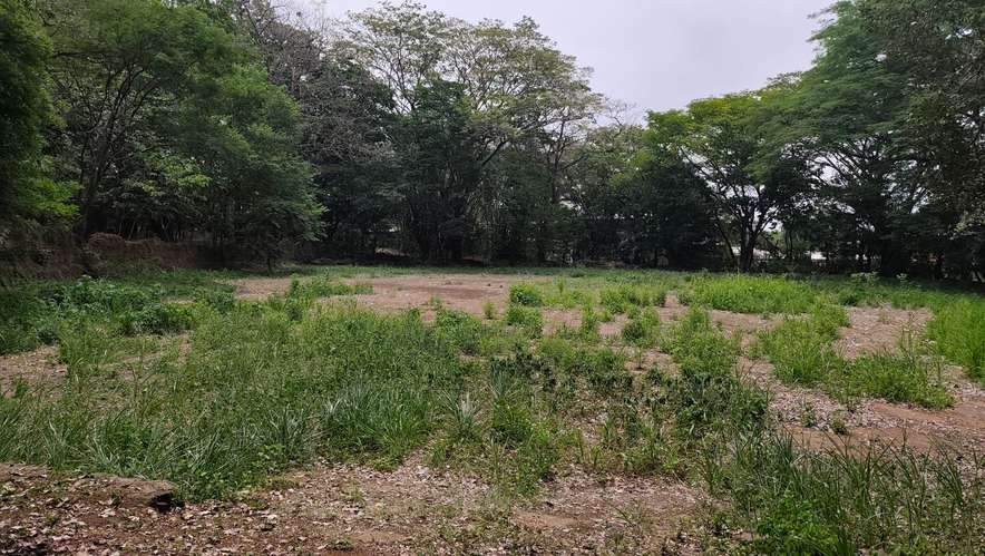  3 Mzas. A 5 cuadras del Centro de Zacatecoluca, de Bosque Urbano, Para Desarrollo Urbanistico. - Imagen 20
