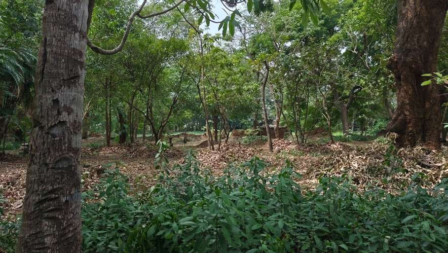  3 Mzas. A 5 cuadras del Centro de Zacatecoluca, de Bosque Urbano, Para Desarrollo Urbanistico. - Imagen 11
