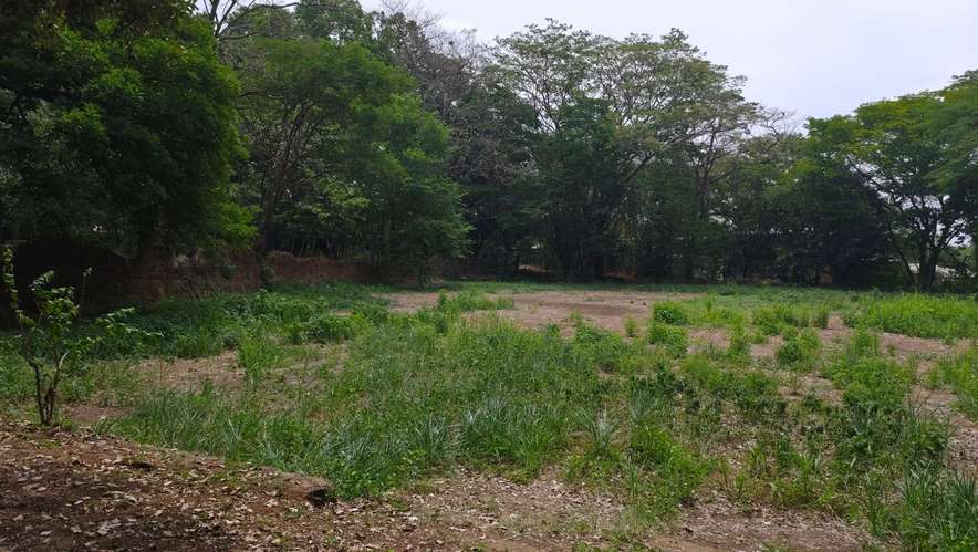  3 Mzas. A 5 cuadras del Centro de Zacatecoluca, de Bosque Urbano, Para Desarrollo Urbanistico. - Imagen 19