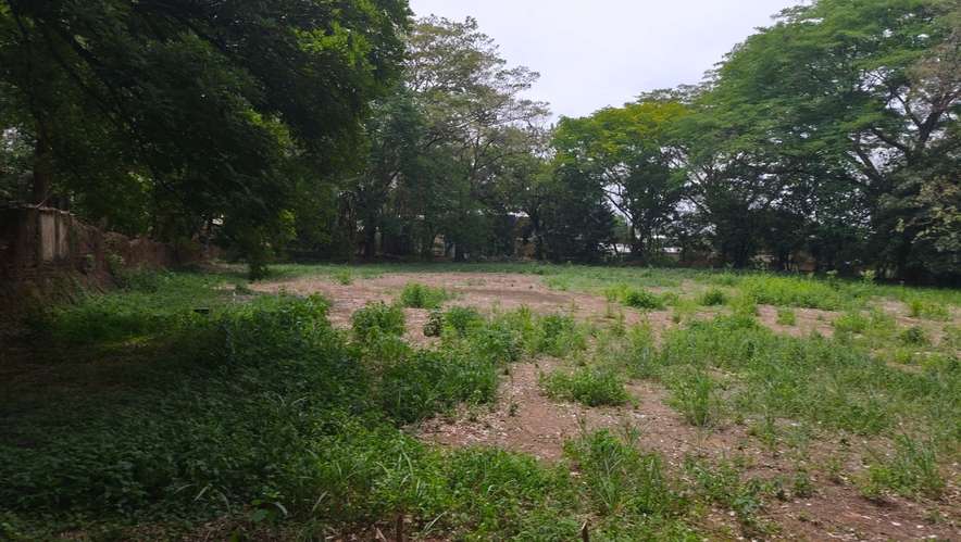  3 Mzas. A 5 cuadras del Centro de Zacatecoluca, de Bosque Urbano, Para Desarrollo Urbanistico. - Imagen 13