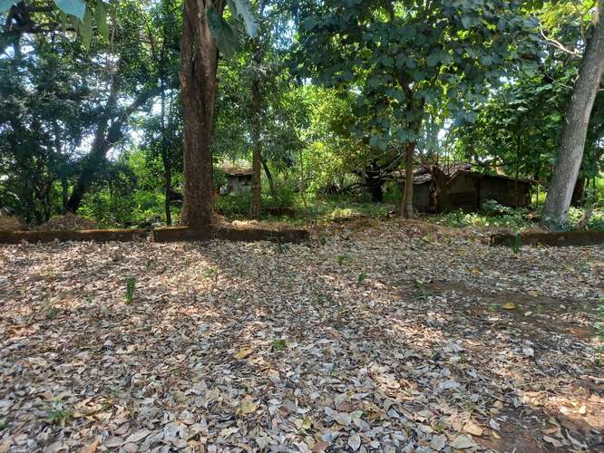  3 Mzas. A 5 cuadras del Centro de Zacatecoluca, de Bosque Urbano, Para Desarrollo Urbanistico. - Imagen 2