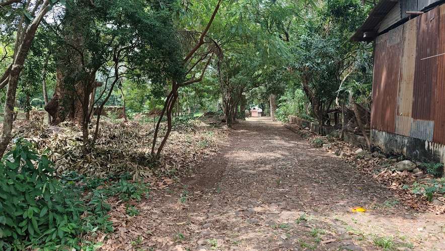  3 Mzas. A 5 cuadras del Centro de Zacatecoluca, de Bosque Urbano, Para Desarrollo Urbanistico. - Imagen 10