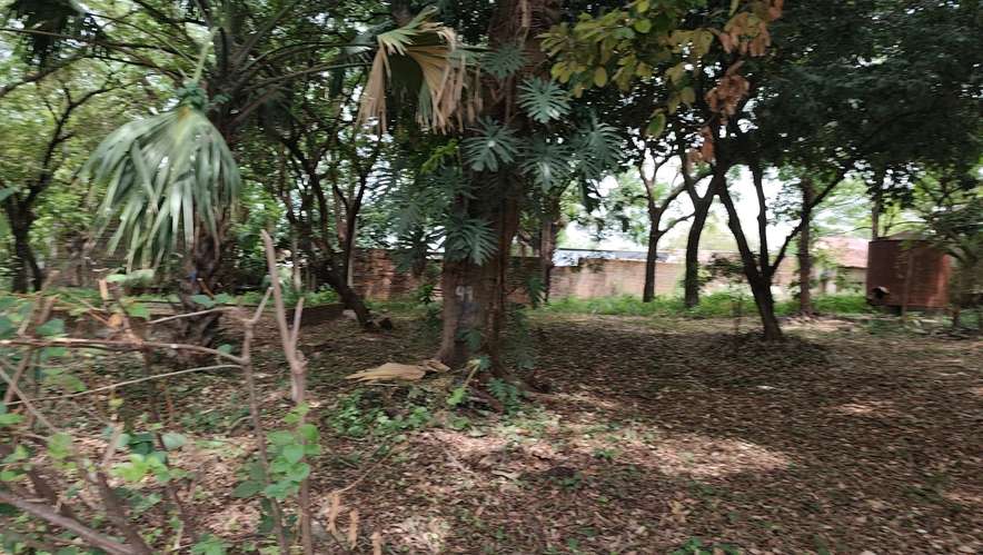  3 Mzas. A 5 cuadras del Centro de Zacatecoluca, de Bosque Urbano, Para Desarrollo Urbanistico. - Imagen 14