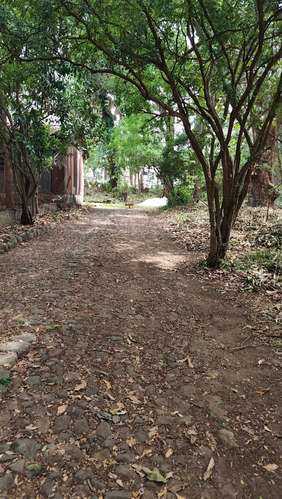  3 Mzas. A 5 cuadras del Centro de Zacatecoluca, de Bosque Urbano, Para Desarrollo Urbanistico. - Imagen 6