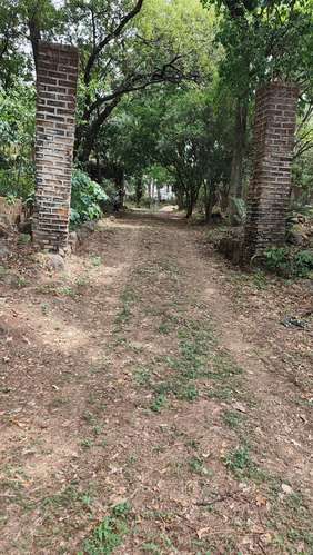  3 Mzas. A 5 cuadras del Centro de Zacatecoluca, de Bosque Urbano, Para Desarrollo Urbanistico. - Imagen 5