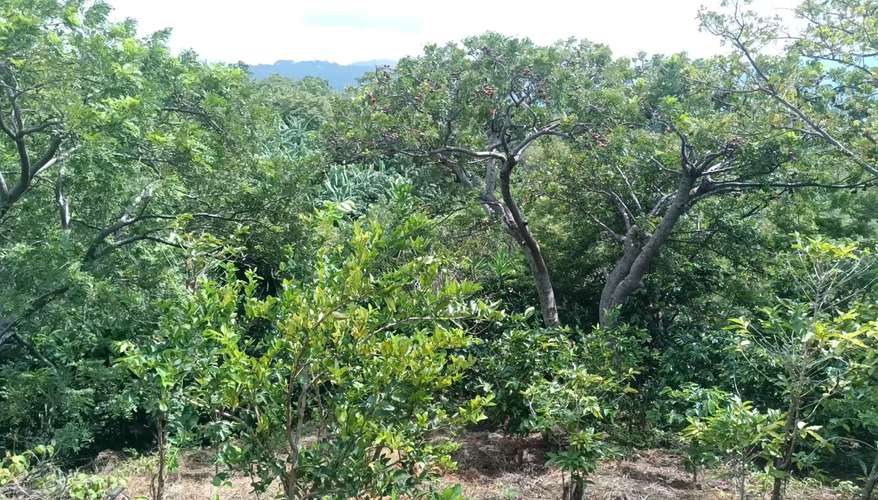 Se vende terreno con vista lago coatepeque  - Imagen 4