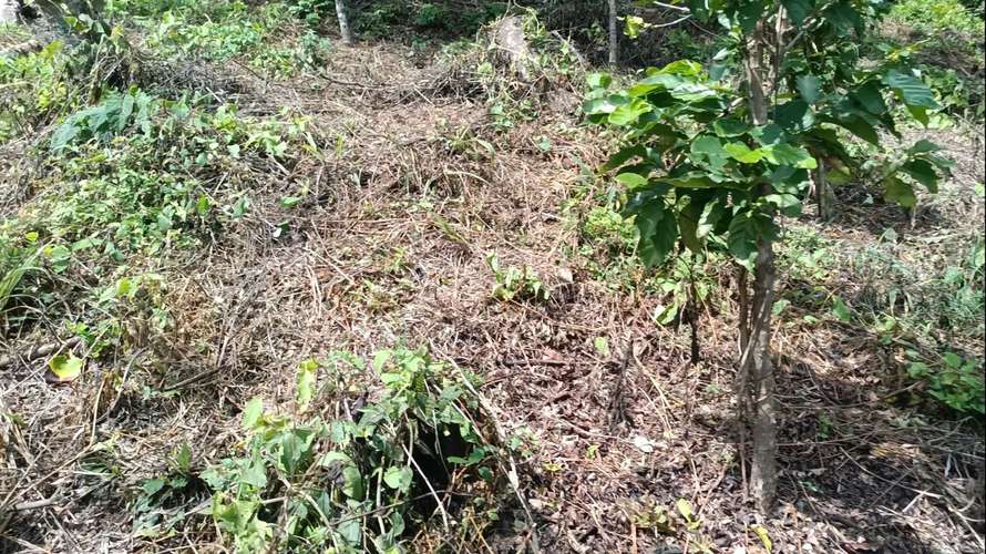 Se vende terreno con vista lago coatepeque  - Imagen 7