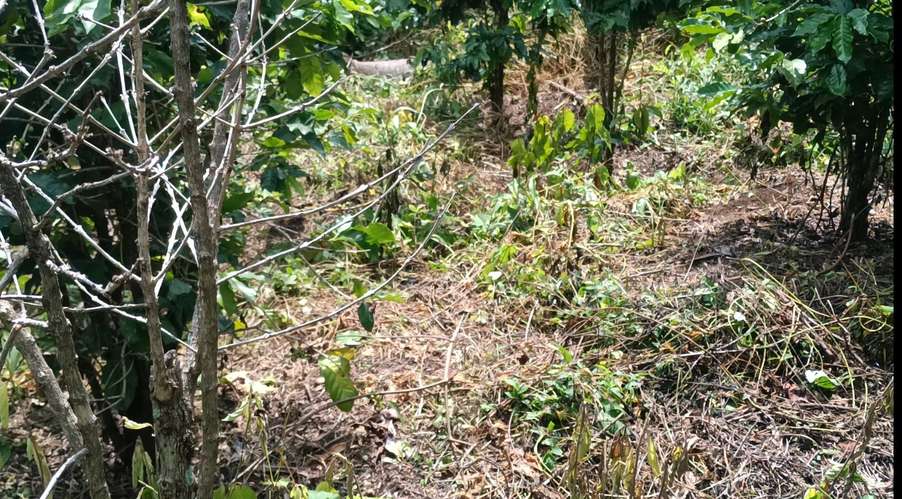 Se vende terreno con vista lago coatepeque  - Imagen 3
